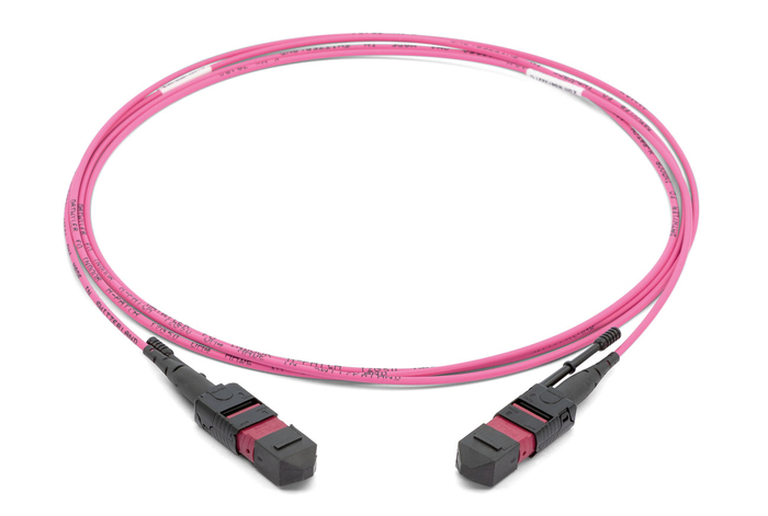 MTP-MTP OM4 Trunk Cable