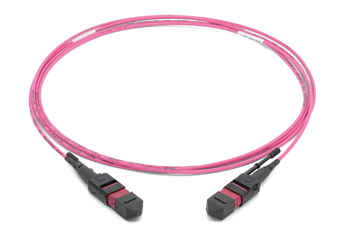 MTP-MTP OM4 12c (6 port) Trunk Cable