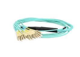 LC-LC OM4 24c (12 port) Trunk Cable