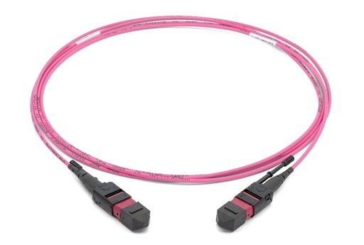 MTP-MTP OM4 Trunk Cable